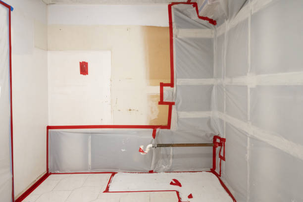 Best Mold Damage Restoration  in Sidy, NE